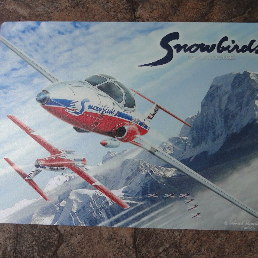 Snowbirds Mouse Pad